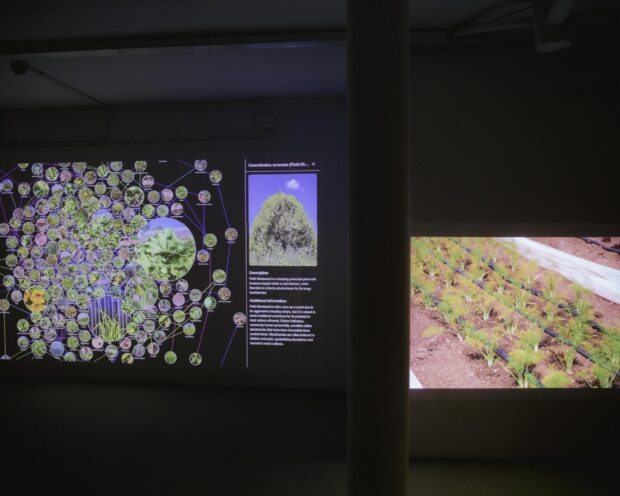 https://genomicgastronomy.com/wp-content/uploads/2025/05/Venn_Canteen_Evento-3-scaled-620x496.jpg
