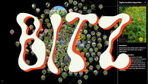 https://genomicgastronomy.com/wp-content/uploads/2025/06/BITZ-ABOUT-STILL-300x170.jpg