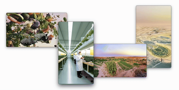 https://genomicgastronomy.com/wp-content/uploads/2025/06/MockWild-VidCollage-Clip2.gif